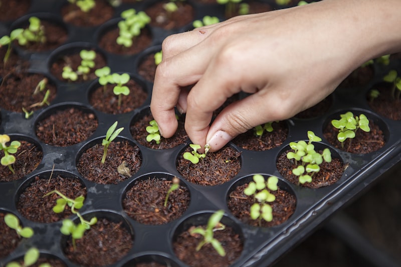 Community-Led Agricultural Development: Success Stories from West Java