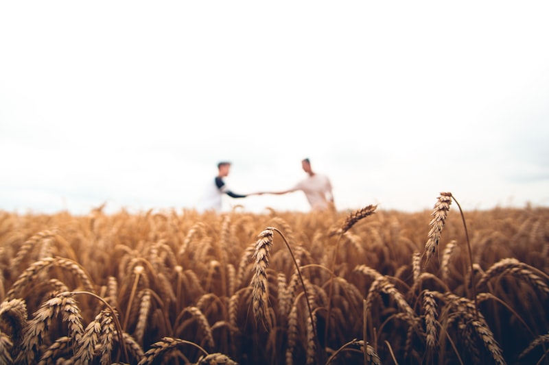 Innovation in Sustainable Agriculture: New Approaches for 2024